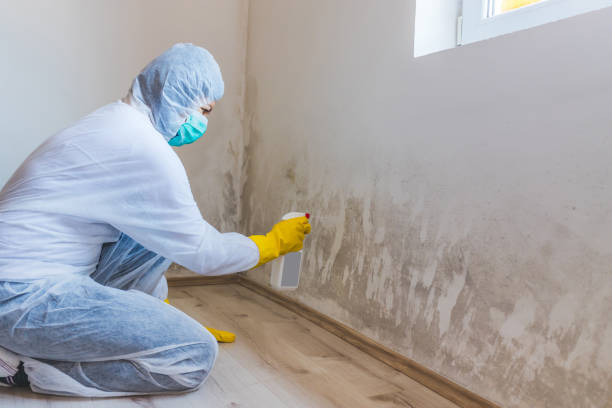 Best Industrial Mold Remediation  in Hazlehurst, GA