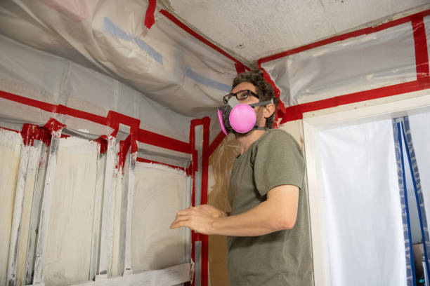  Hazlehurst, GA Mold Removal Pros