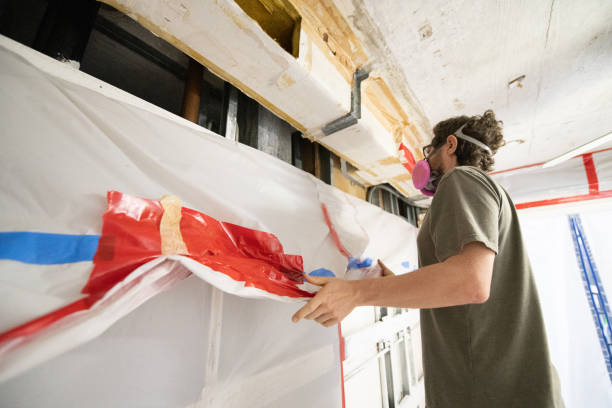Best Mold Remediation for Healthcare Facilities  in Hazlehurst, GA