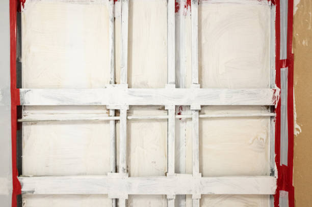 Environmental Consulting for Mold Prevention in Hazlehurst, GA