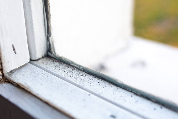 Best Indoor Air Quality Assessment  in Hazlehurst, GA