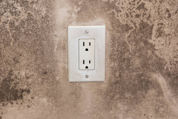 Best Residential Mold Inspection & Testing  in Hazlehurst, GA