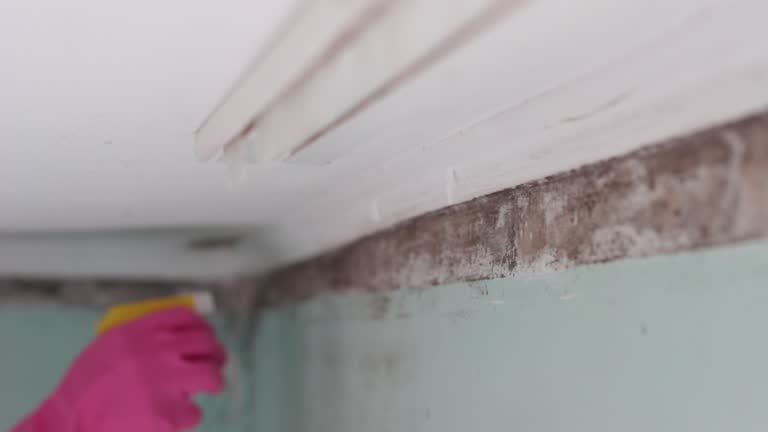 Best Airborne Mold Testing  in Hazlehurst, GA